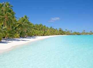 Solomon Adaları’nda Asgari Ücret Fiyatları ve Göçmenler için En Popüler İş İmkanları Solomon Adaları'nda Asgari Ücret Fiyatları ve Göçmenler için En Popüler İş İmkanları