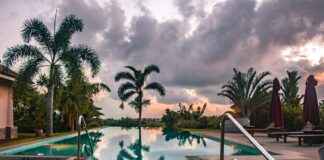 Sri Lanka’da Asgari Ücret Fiyatları ve Göçmenler için En Popüler İş İmkanları Sri Lanka’da Asgari Ücret Fiyatları ve Göçmenler için En Popüler İş İmkanları