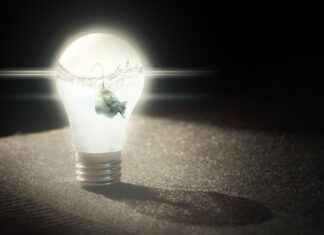 Tesla Bayilik İmkanları ve Franchise Koşulları Tesla Bayilik İmkanları ve Franchise Koşulları