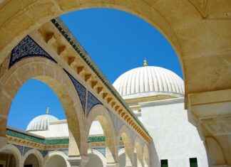 Tunus’ta Asgari Ücret Fiyatları ve Göçmenler için En Popüler İş İmkanları Tunus’ta Asgari Ücret Fiyatları ve Göçmenler için En Popüler İş İmkanları