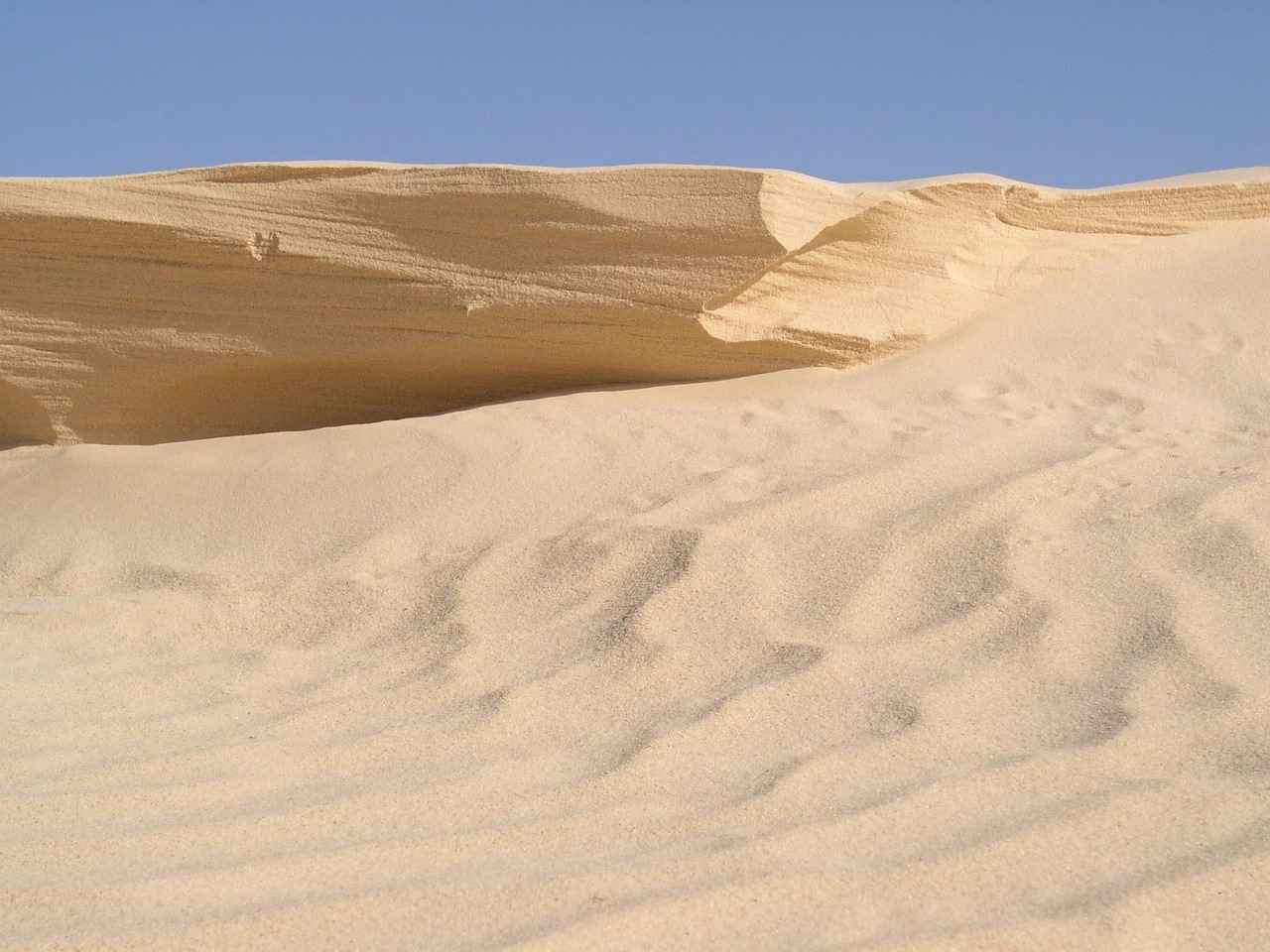 Gelecek Perspektifleri ve Fırsatlar