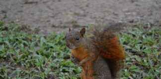 Venezuela’da Asgari Ücret Fiyatları ve Göçmenler için En Popüler İş İmkanları Venezuela’da Asgari Ücret Fiyatları ve Göçmenler için En Popüler İş İmkanları