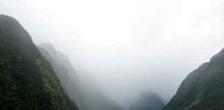 Yeni Zelanda’da Asgari Ücret Fiyatları ve Göçmenler için En Popüler İş İmkanları Yeni Zelanda'da Asgari Ücret Fiyatları ve Göçmenler için En Popüler İş İmkanları