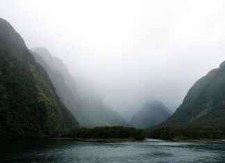Yeni Zelanda’da Asgari Ücret Fiyatları ve Göçmenler için En Popüler İş İmkanları Yeni Zelanda'da Asgari Ücret Fiyatları ve Göçmenler için En Popüler İş İmkanları