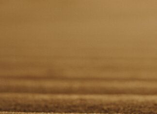 Kredi Kartı Borcumu Ödeyemiyorum Ne Yapmalıyım? Etkili Çözümler