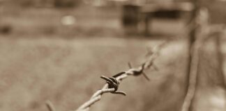 Bddk Kredi Kartı Limit Sorgulama Nasıl Yapılır? Etkili Yöntemler!