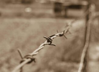 Bddk Kredi Kartı Limit Sorgulama Nasıl Yapılır? Etkili Yöntemler!