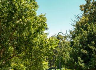 Sorgusuz Kredi Kartı Veren Bankalar: Kolay Başvuru ve Avantajlar!