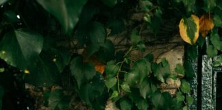 18 Yaş Altı Kredi Kartı Almanın Şaşırtıcı Avantajları Nelerdir?