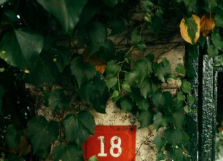 18 Yaş Altı Kredi Kartı Almanın Şaşırtıcı Avantajları Nelerdir?