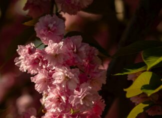 Hangi Bankada Kredi Kartım Var? Kolayca Öğrenmenin En Etkili Yolları