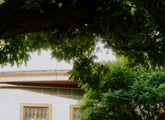 Kredi Kartı Son Ödeme Tarihi Geçerse Ne Olur? Şaşırtıcı Sonuçlar